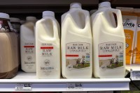 A photo shows jugs of raw milk for sale at a grocery store.